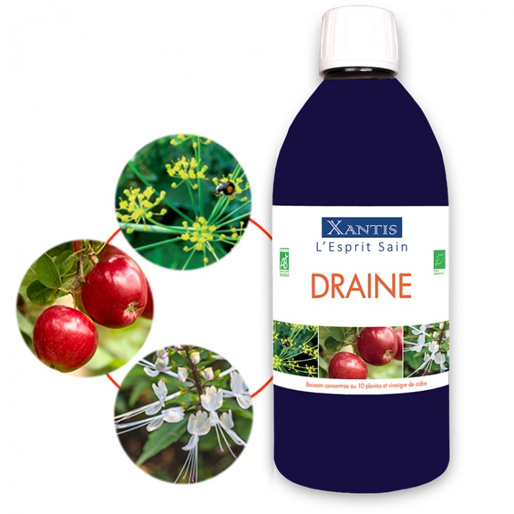 DRAINE DRAINE
